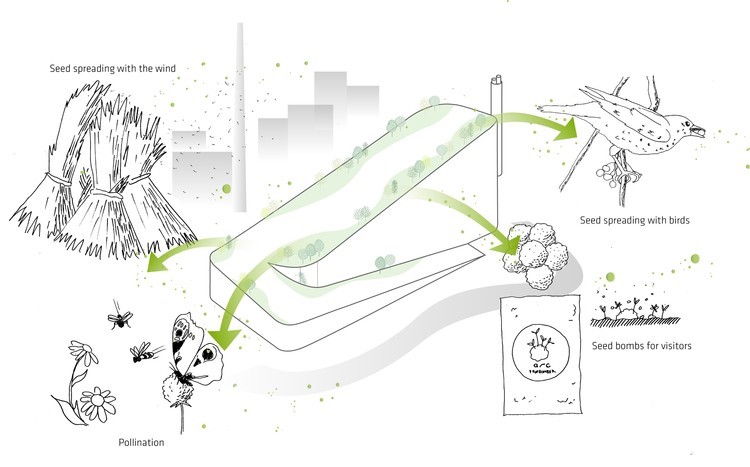 种子传播途径. 图片来自 SLA 建筑事务所