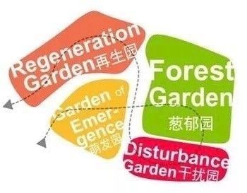 郑州园博园之韧性花园，让你了解真正的生态修复_5