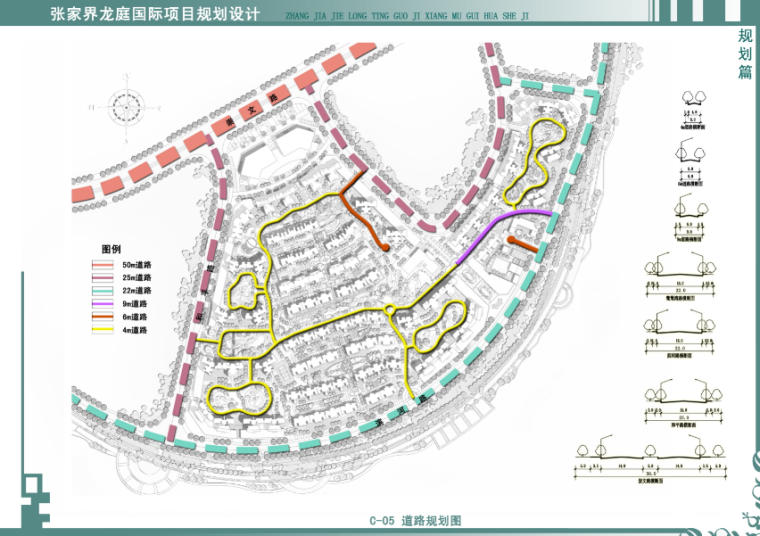 [湖南]张家界龙庭国际项目规划建筑设计方案文本-道路规划图