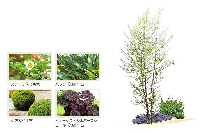 日式庭院的景观CAD资料下载-清流般的日式小庭院~