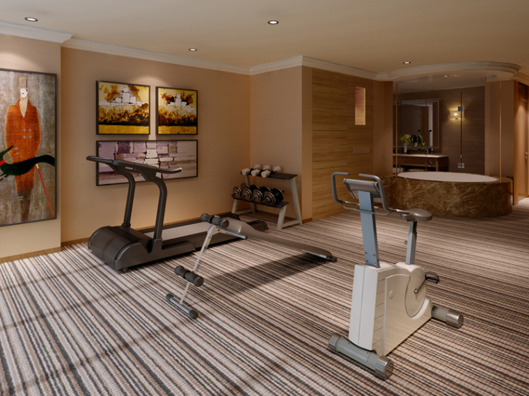 跑步机模型su资料下载-休闲健身房3D模型下载