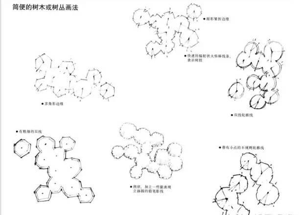 景观快题设计中植物表达技法！_36