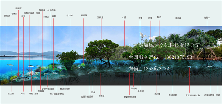 海洋科技馆 海洋展览馆 策划书大纲 策划方案-1.png