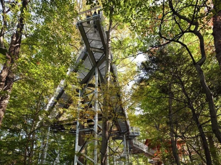 美国花园里的森林景观资料下载-美国莫里斯植物园景观装置