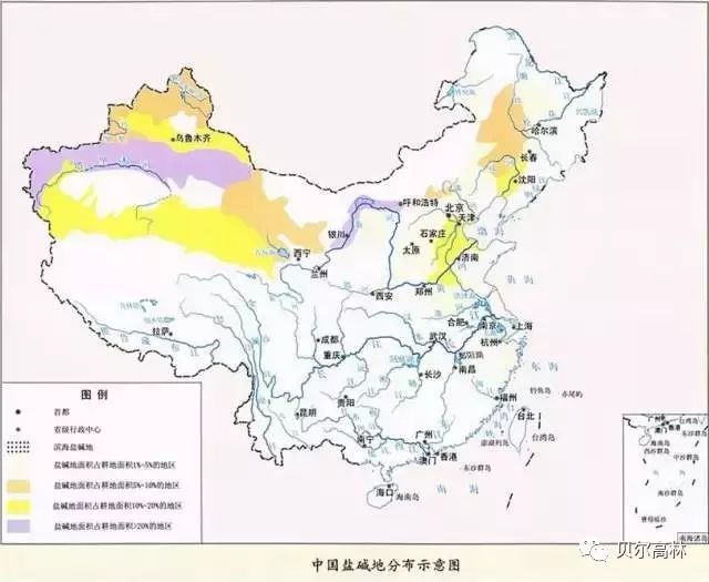 内蒙气象公园资料下载-海绵城市建设选用什么苗？65种耐盐碱植物大搜罗