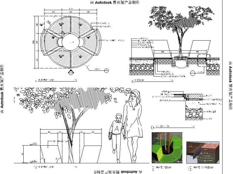 [浙江]妇青幼中心及文化中心景观施工图-圆形树池详图