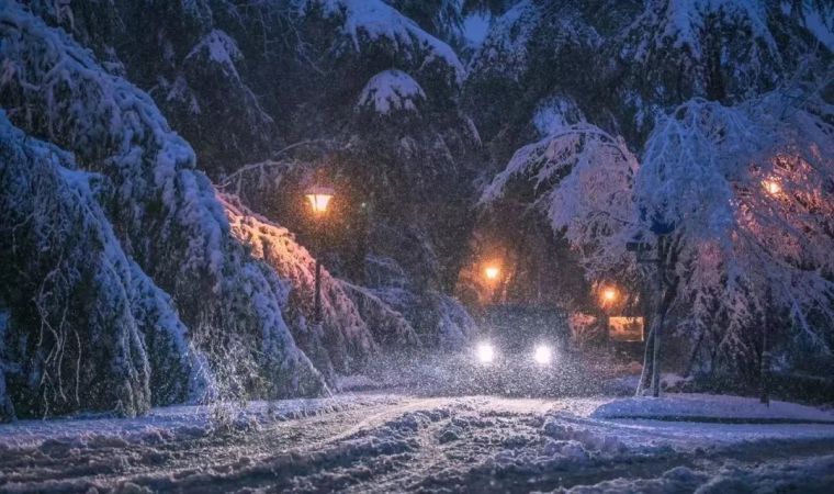 雪后的庭院，又是另一方天地_8