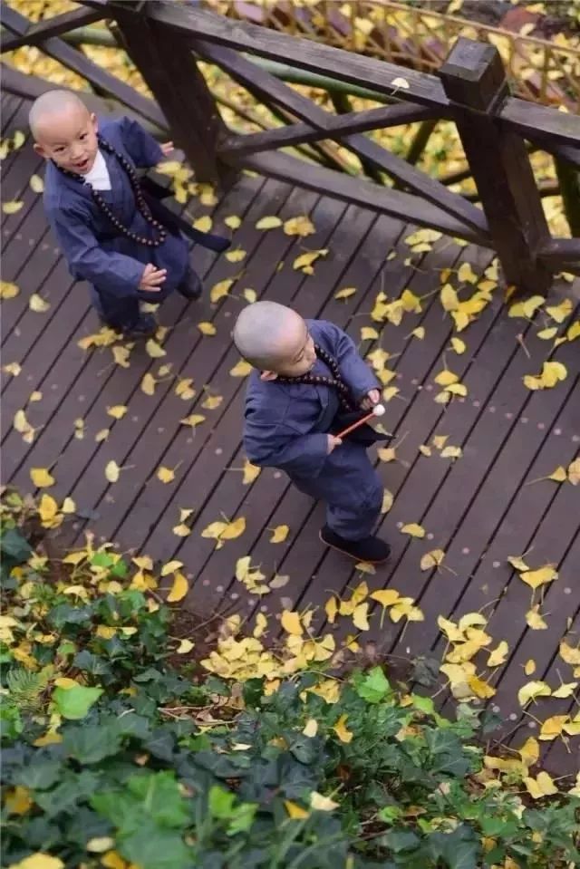 世界级银杏村的千年寺庙里_19