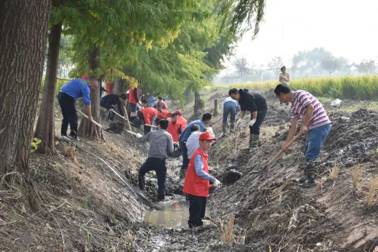 水体整治提升资料下载-狠抓河道整治、提升河流生态品质