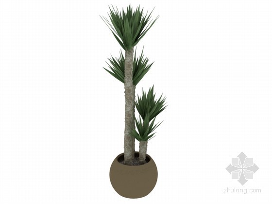 植物模型文件资料下载-盆栽植物3D模型下载