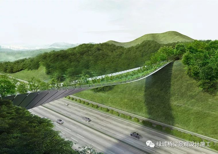 野生动物圆设计资料下载-这座高架桥是属于野生动物的！韩国yangjaegogae生态桥