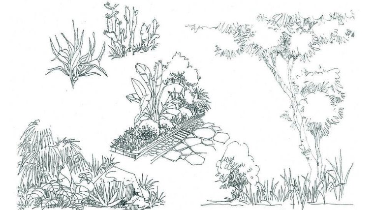 景观草丛手绘线稿资料下载-景观手绘线稿可打印