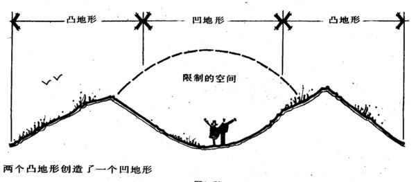 （干货干货）植物设计基础常识_61