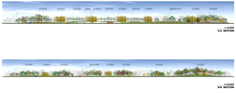 [江苏]“城市花窗”城市道路景观设计方案-道路剖面图