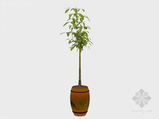 盆景3d模型下载资料下载-青翠盆景3D模型下载