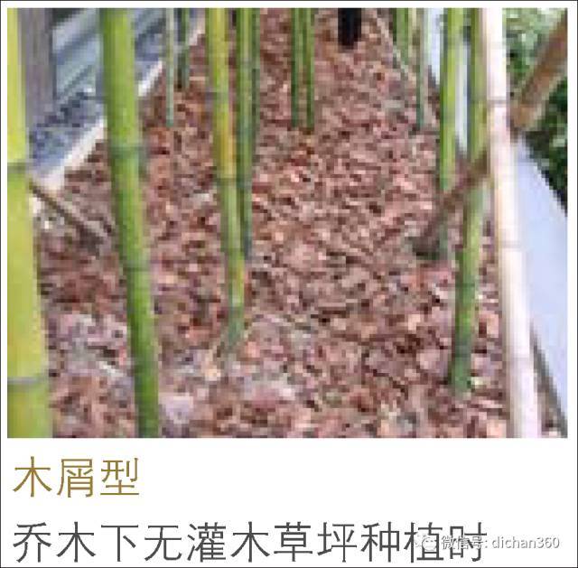 干货：万科独到的园林施工养护标准(全套)_18