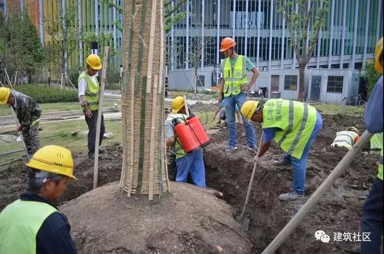 看进博会“身后”的战士——上海建工建设者的点点滴滴_28