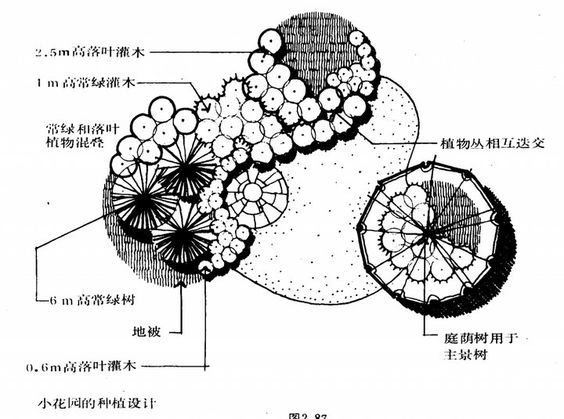 月季植物专类园平面图资料下载-园林植物配置平面图学习资料，超级实用！