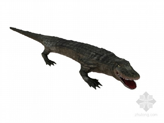 宜家3d模型视频资料下载-鳄鱼3D模型下载