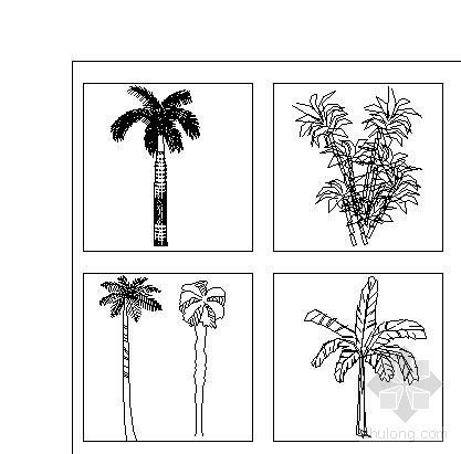 CAD室外植物立面资料下载-干货|400例植物立面图