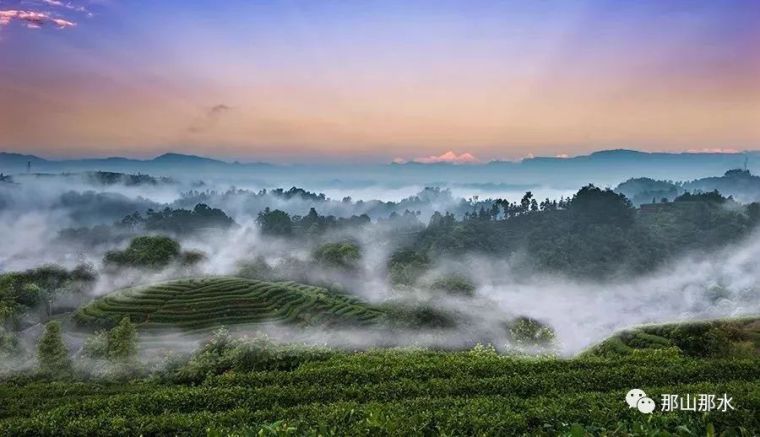 河道治理中水土保持[优化途径分析]_3