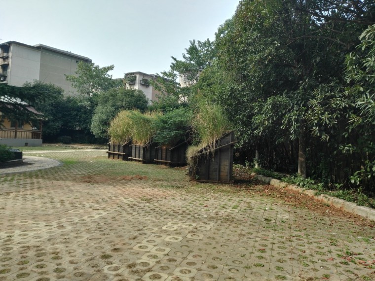 学校建筑小品资料下载-偶见的？植物？还是小品？