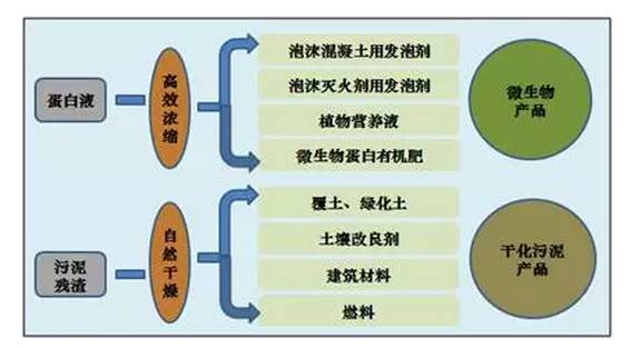 污泥处理处置市场不断扩大，什么才是主流技术？_2