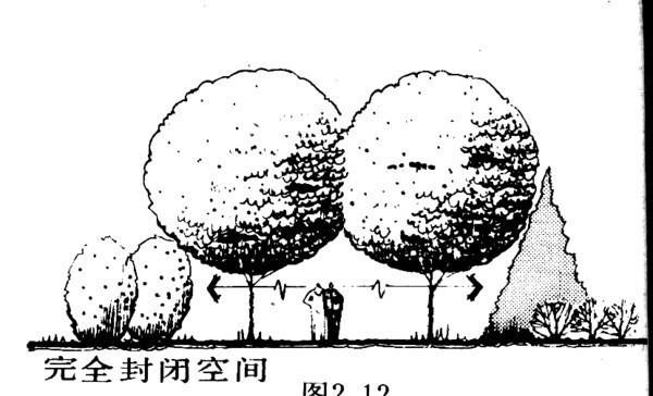 （干货干货）植物设计基础常识_88