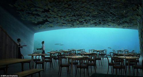 欧洲首个水下餐厅：客人可全景欣赏海底景观-另存.jpg
