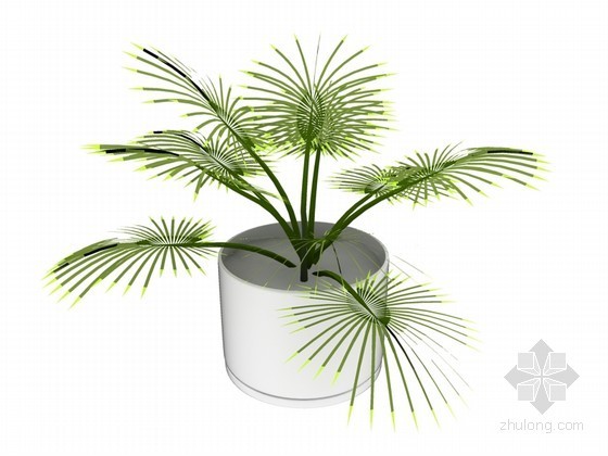 室内花草盆景资料下载-室内植物3D模型下载