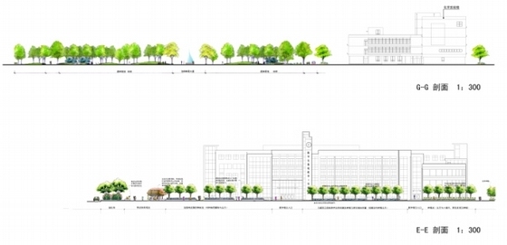 [北京]大学校园分区室外景观绿地设计方案-景观立面图