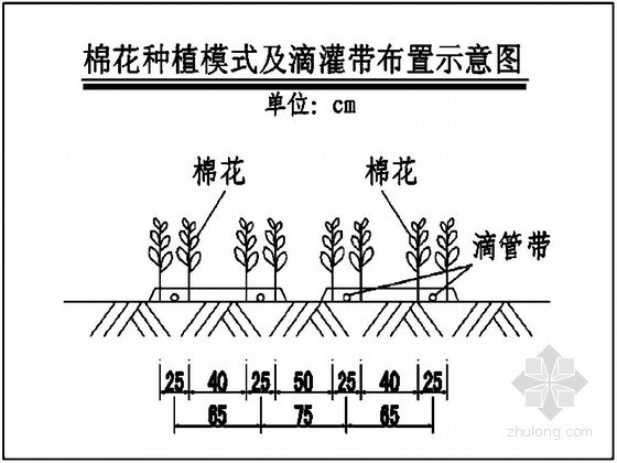 高效灌溉节水工程资料下载-[新疆]1.5万亩高效节水建设项目初步设计报告（滴灌）