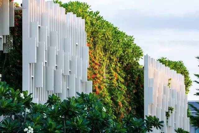 新加坡空中花园资料下载-立体绿化，这样搭配就妥了~