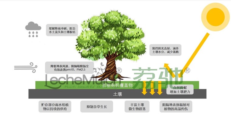 荔驰有机覆盖物科技成果入编《“十三五”中国低碳科技成果报告》-图片1.jpg