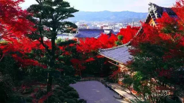 京都大德寺大仙院庭院资料下载-[经典案例]日本十大最美枯山水庭院