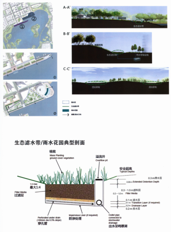 ”海绵城市“景观设计中的雨洪管理-雨水花园典型剖面