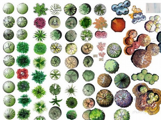 游园植物配植被平面图资料下载-ps植物平面图素材下载