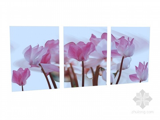 画3d模型资料下载-漂亮花朵画3D模型下载