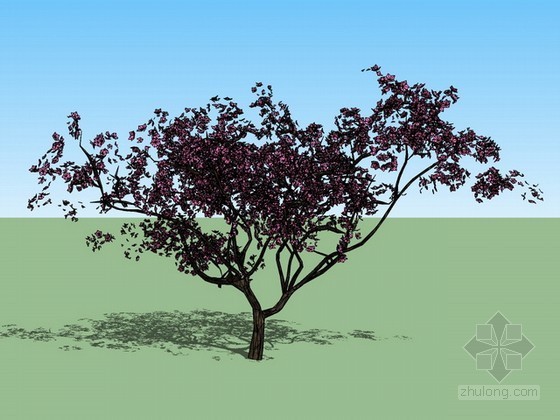 卡通树3dmax模型资料下载-树sketchup模型下载
