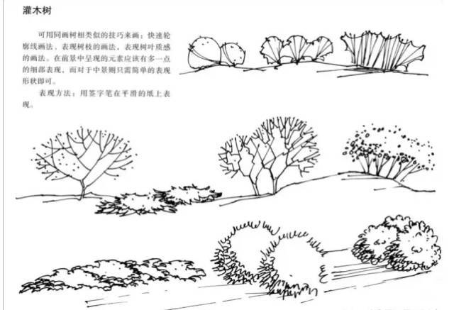 [考研干货]景观快题设计中植物表达技法全攻略_18