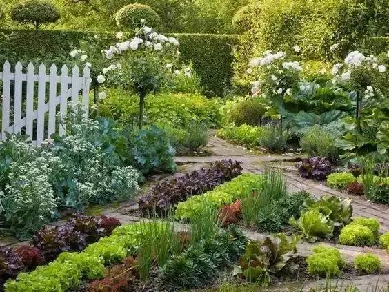 把你家菜园变成娘娘的御花园——“可食地景”_5