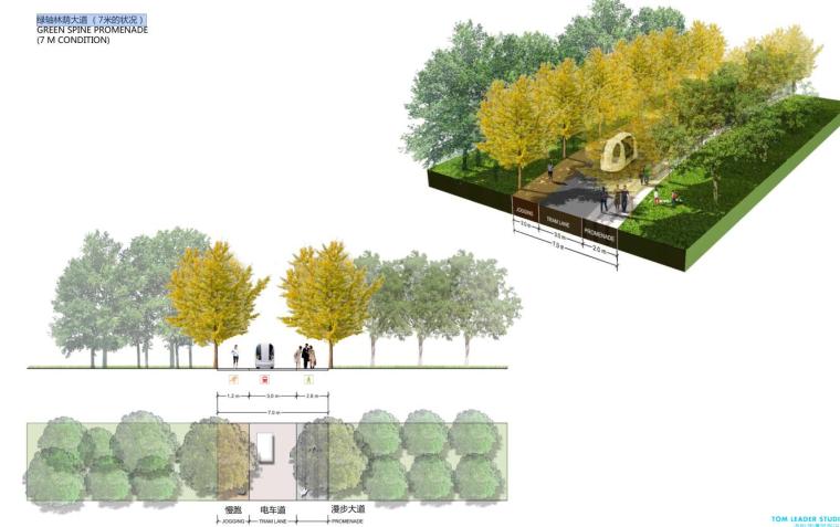 [上海]南站绿轴项目设计方案规划设计文本（包含PDF+70页）-绿轴林荫大道 （7米的状况）