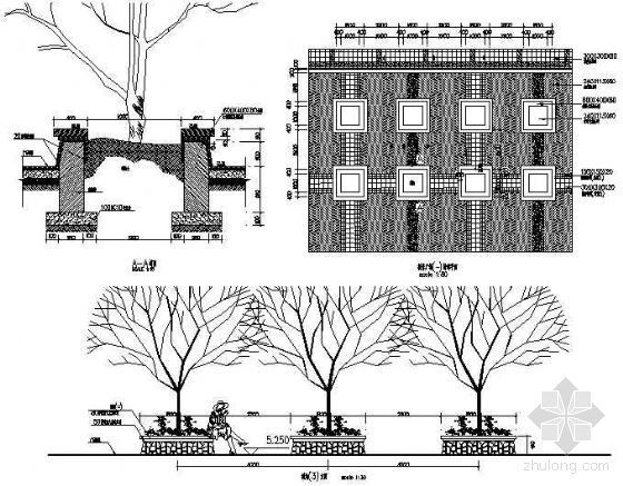 广场节点大样做法资料下载-树阵广场做法大样
