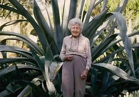 婚纱摄影馆资料下载-108岁美国奶奶，用40年打造出“多肉博物馆”，造就了园林传奇