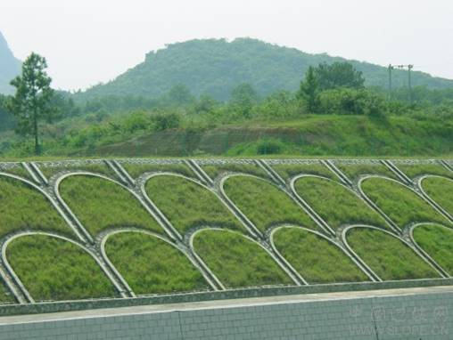 路基边坡防护-植物防护-边坡防护