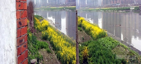 [四川]老城区河道清淤专项施工方案（2014年 附实景图）-5#下河口清理范围 
