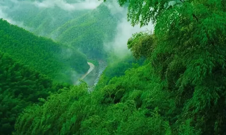 儿童桌椅su资料下载-拥泉而居，枕山而眠