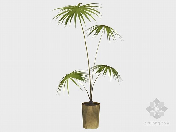 景观植物su3D模型资料下载-漂亮植物3D模型下载