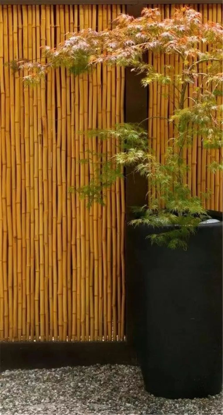 园林造景用什么竹子资料下载-竹·造景