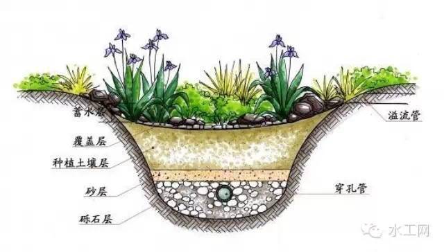 雨水沉砂池图集资料下载-干货：海绵城市规范要点